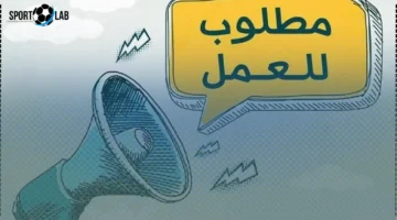 وظائف شاغرة في تصميم الجرافيك للشباب 2025 مع تفاصيل الشروط والتقديم الآن